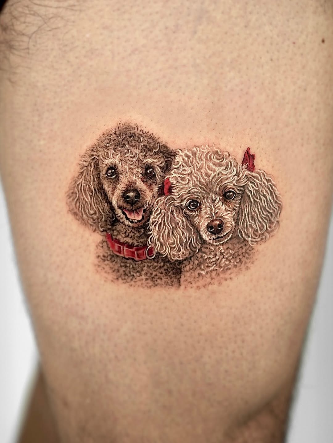 Post 7 by Alejandro Zalve | Pets tattoo & Microrealistic on Instagram (carousel)
