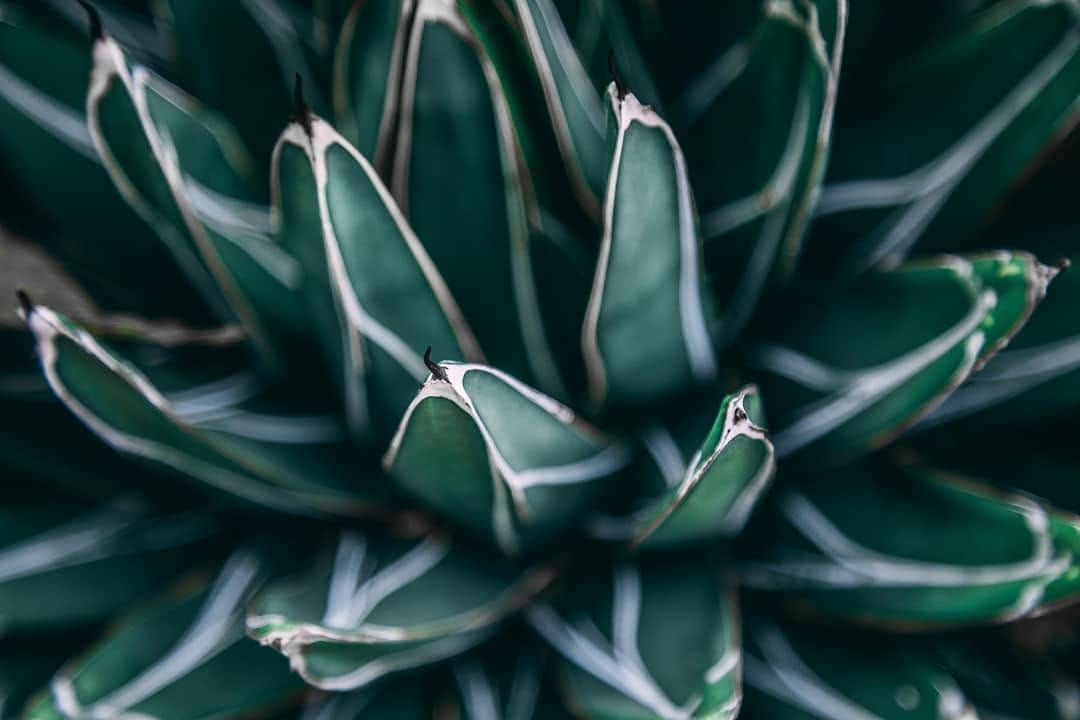 Post 2 by John Withrow on Instagram (image)