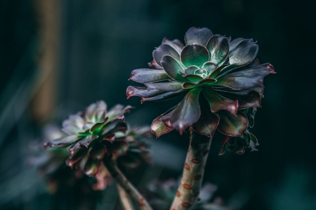 Post 3 by John Withrow on Instagram (image)
