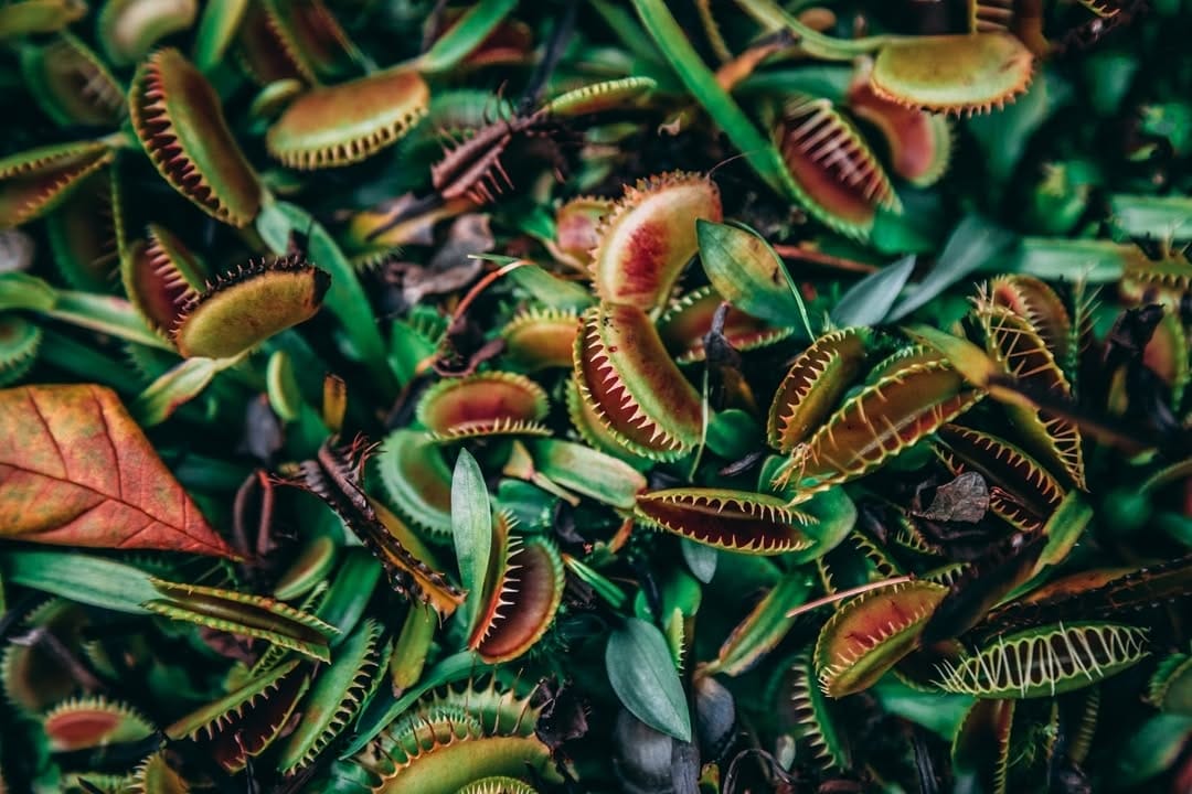 Post 4 by John Withrow on Instagram (image)