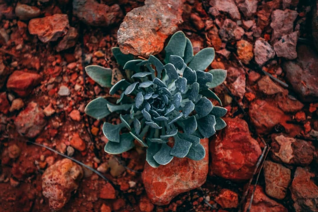 Post 10 by John Withrow on Instagram (image)