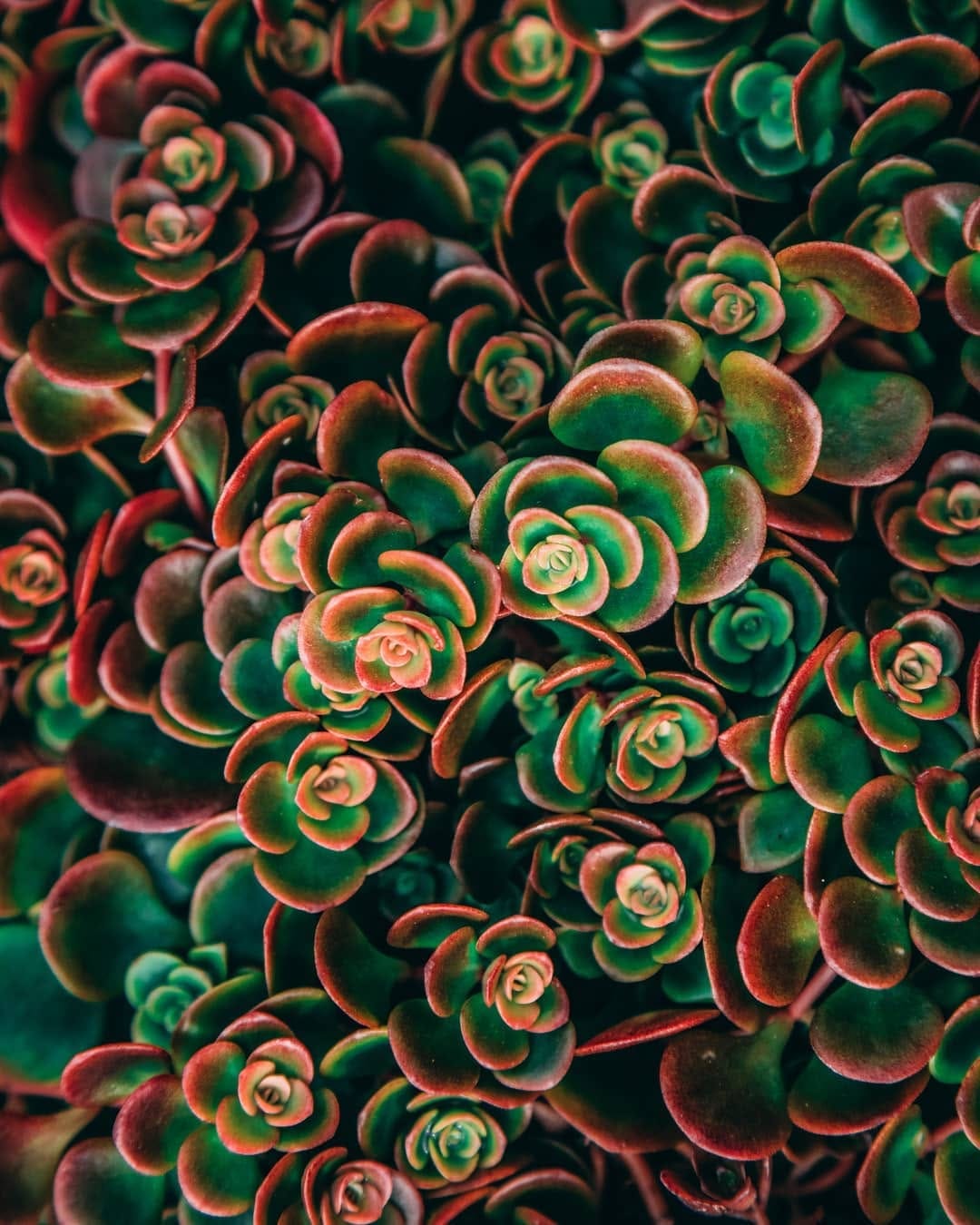 Post 6 by John Withrow on Instagram (image)