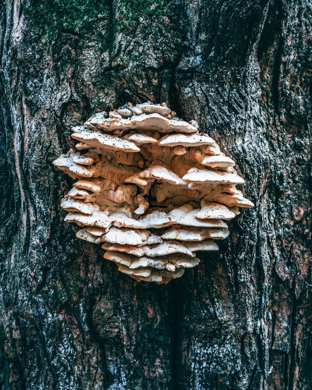 Post 9 by John Withrow on Instagram (image)