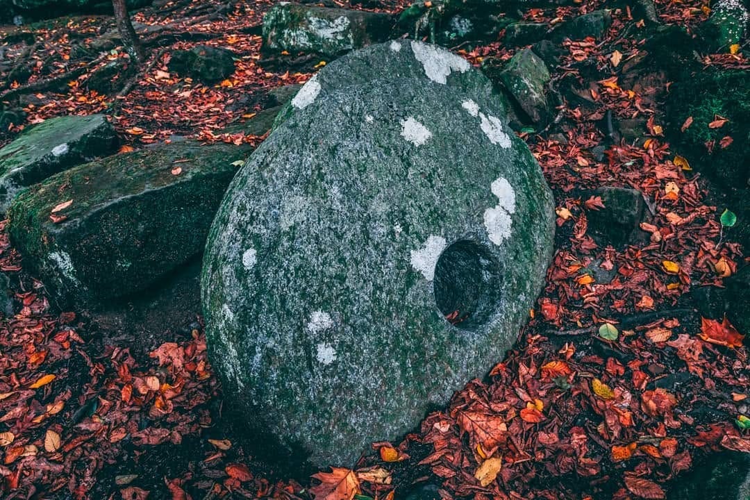 Post 5 by John Withrow on Instagram (image)