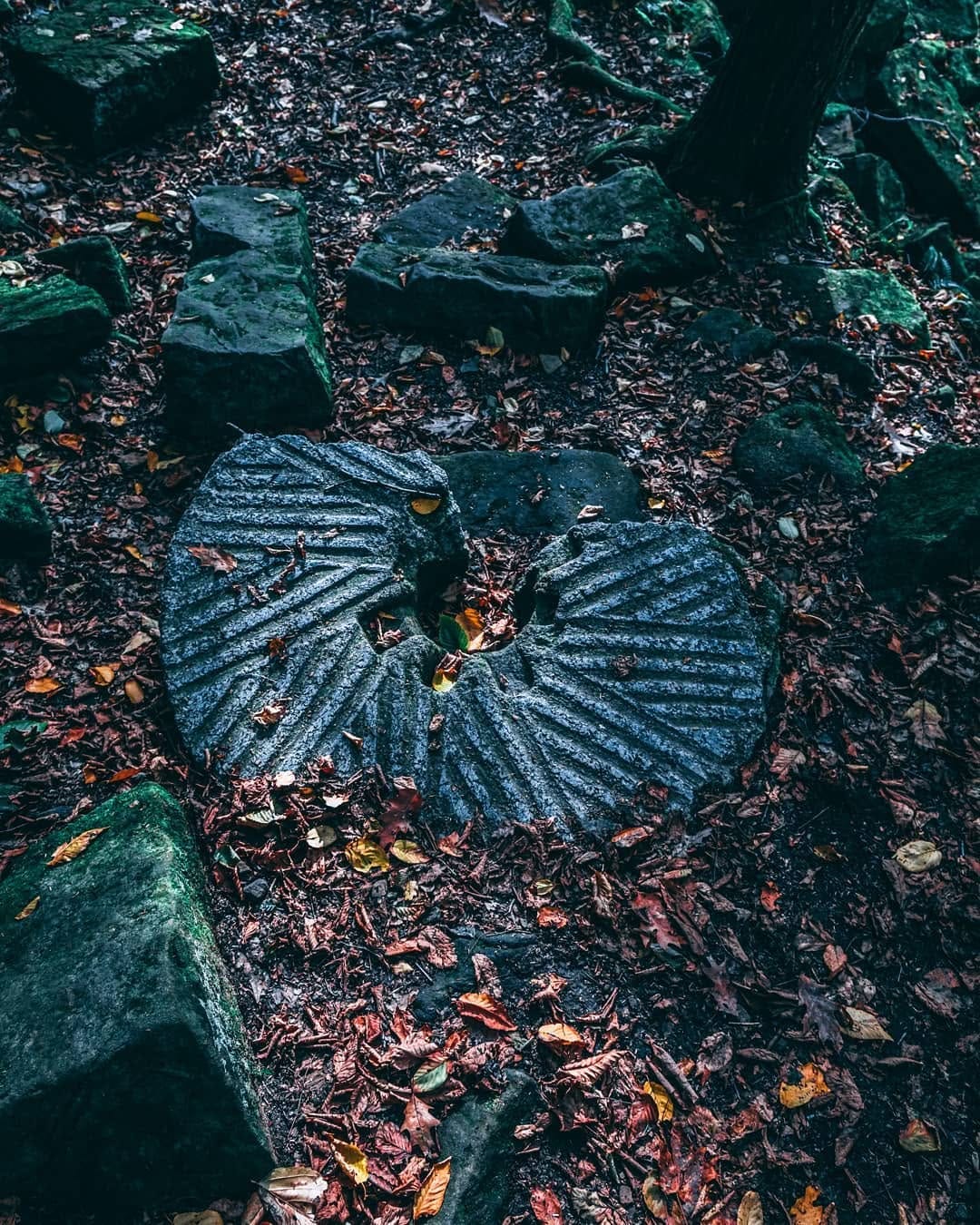 Post 8 by John Withrow on Instagram (image)