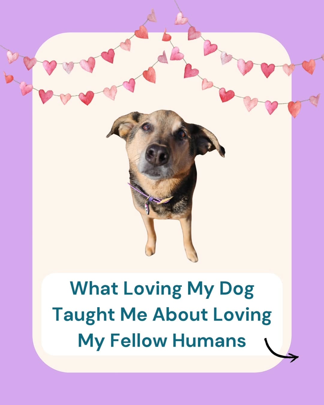 Post 2 by Lyz - Dog Trainer for Nervous & Reactive Dogs on Instagram (carousel)