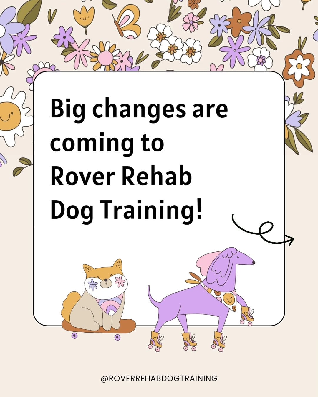Post 1 by Lyz - Dog Trainer for Nervous & Reactive Dogs on Instagram (carousel)