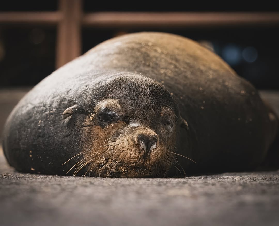 Post 9 by Dylan Floyd on Instagram (image)