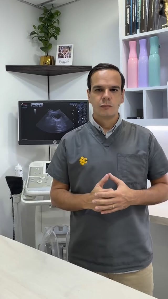 Post 3 by Gustavo Vuurman l Oftalmólogo Veterinario l Clínica Veterinaria on Instagram (video)