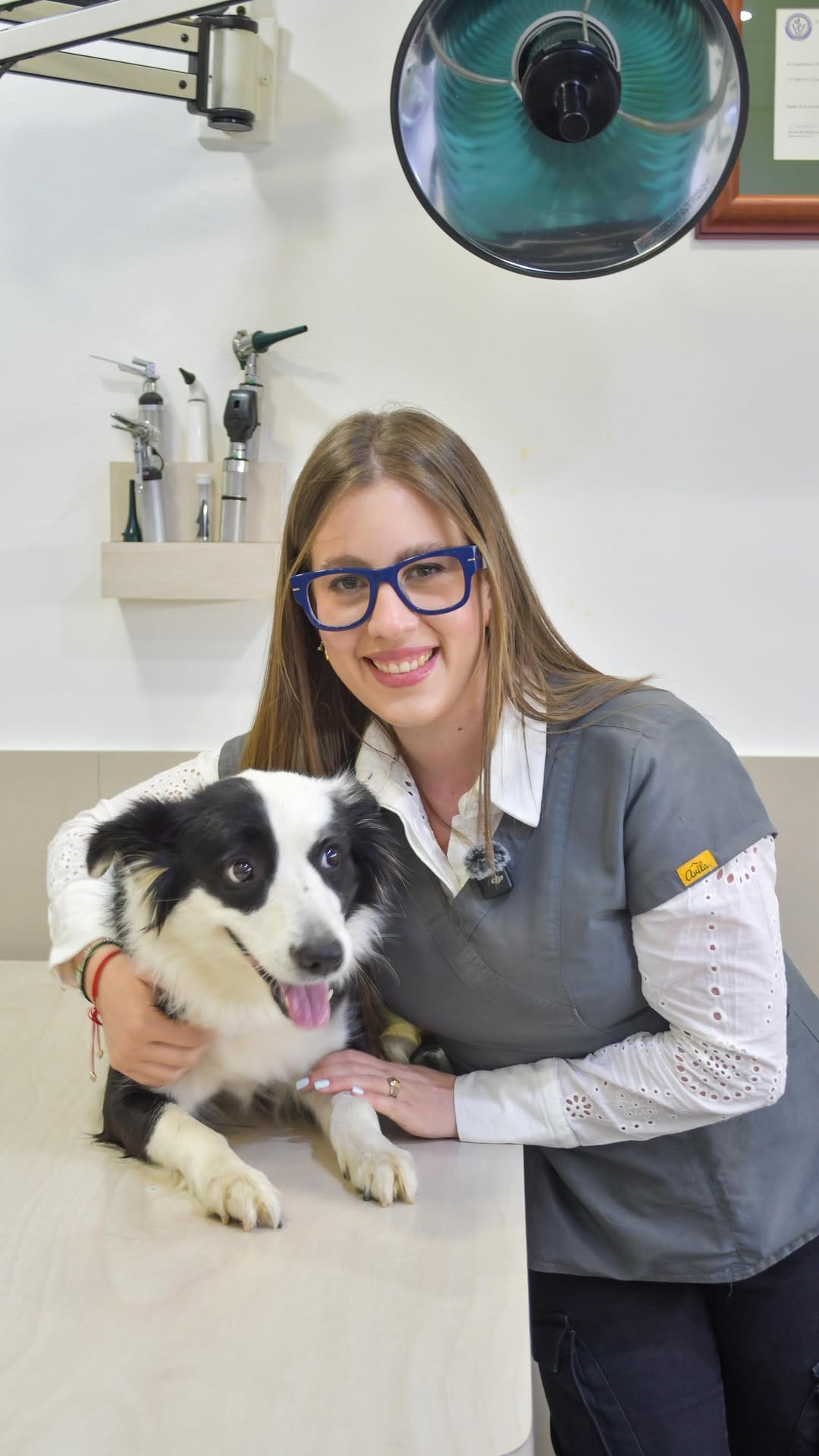 Post 6 by Gustavo Vuurman l Oftalmólogo Veterinario l Clínica Veterinaria on Instagram (video)