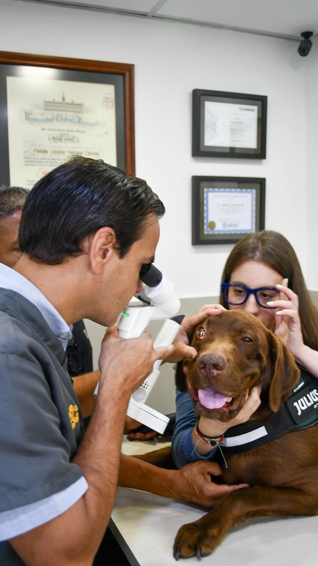 Post 1 by Gustavo Vuurman l Oftalmólogo Veterinario l Clínica Veterinaria on Instagram (video)