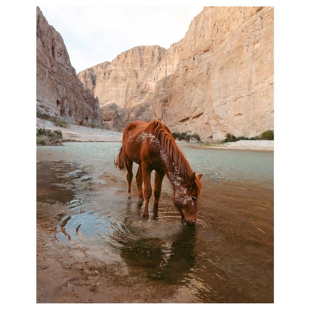 Post 7 by Jono Melamed on Instagram (carousel)