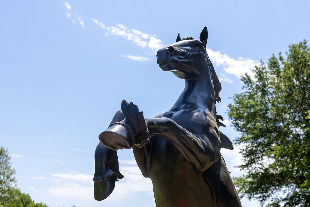 Post 3 by Oklahoma State University Extension on Instagram (carousel)