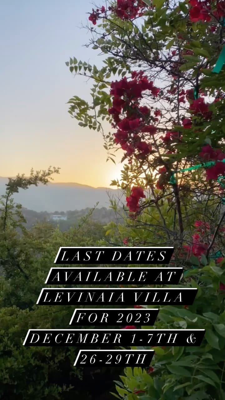 Post 3 by Levinaia Estates on Instagram (video)