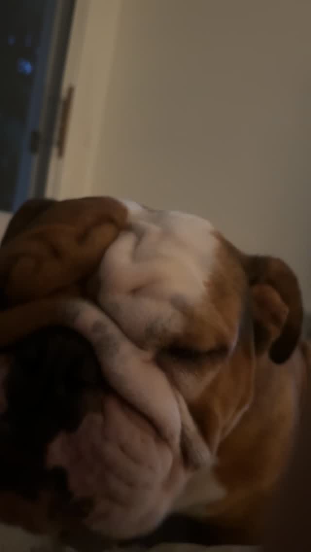 Post 4 by Max & Banx on Instagram (video)