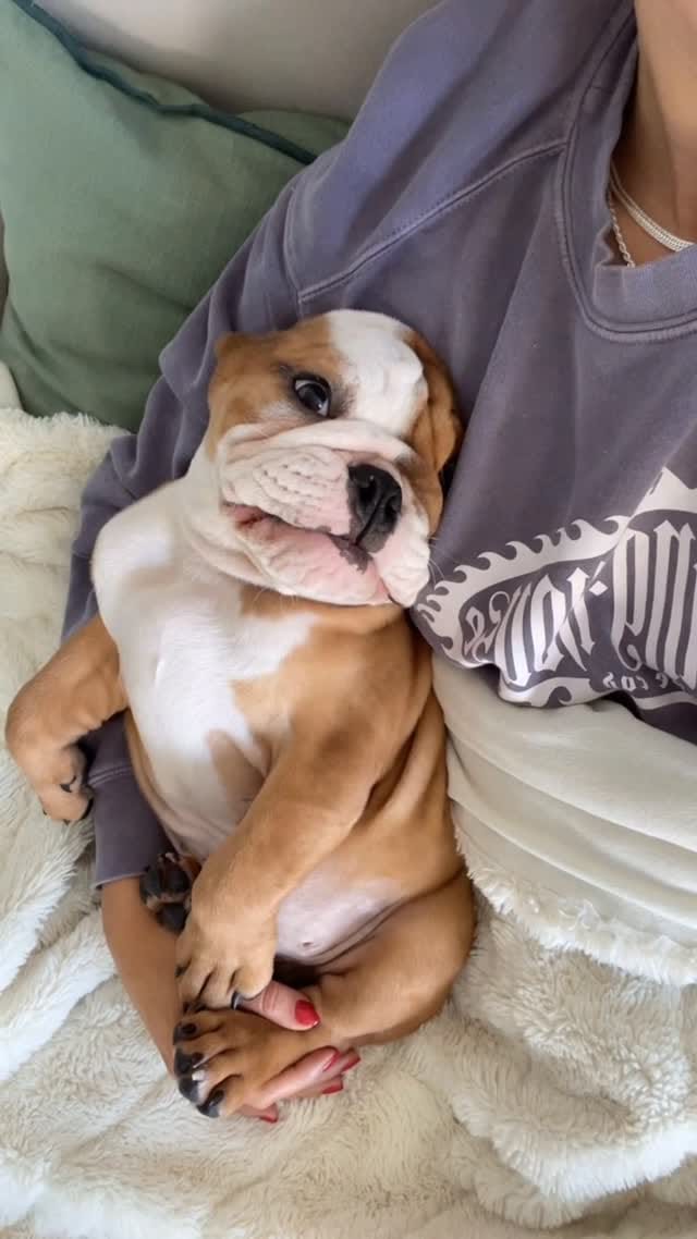 Post 7 by Max & Banx on Instagram (video)