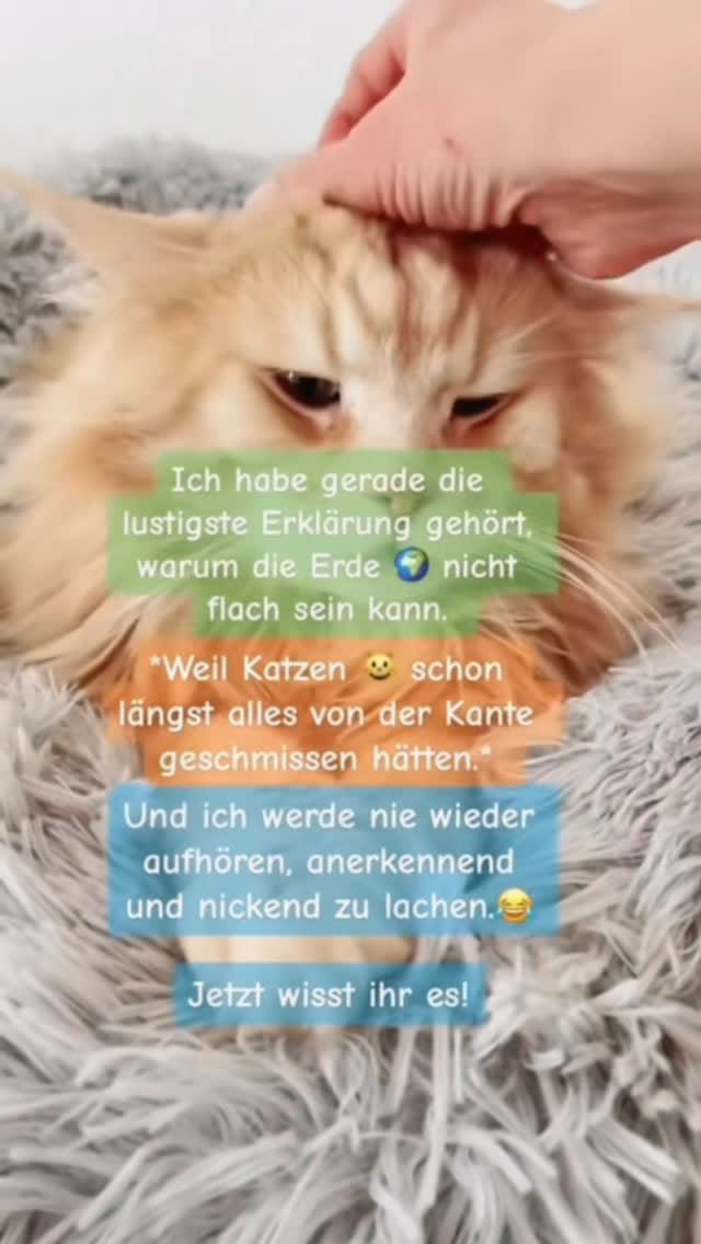 Post 6 by Natalia Minst on Instagram (video)