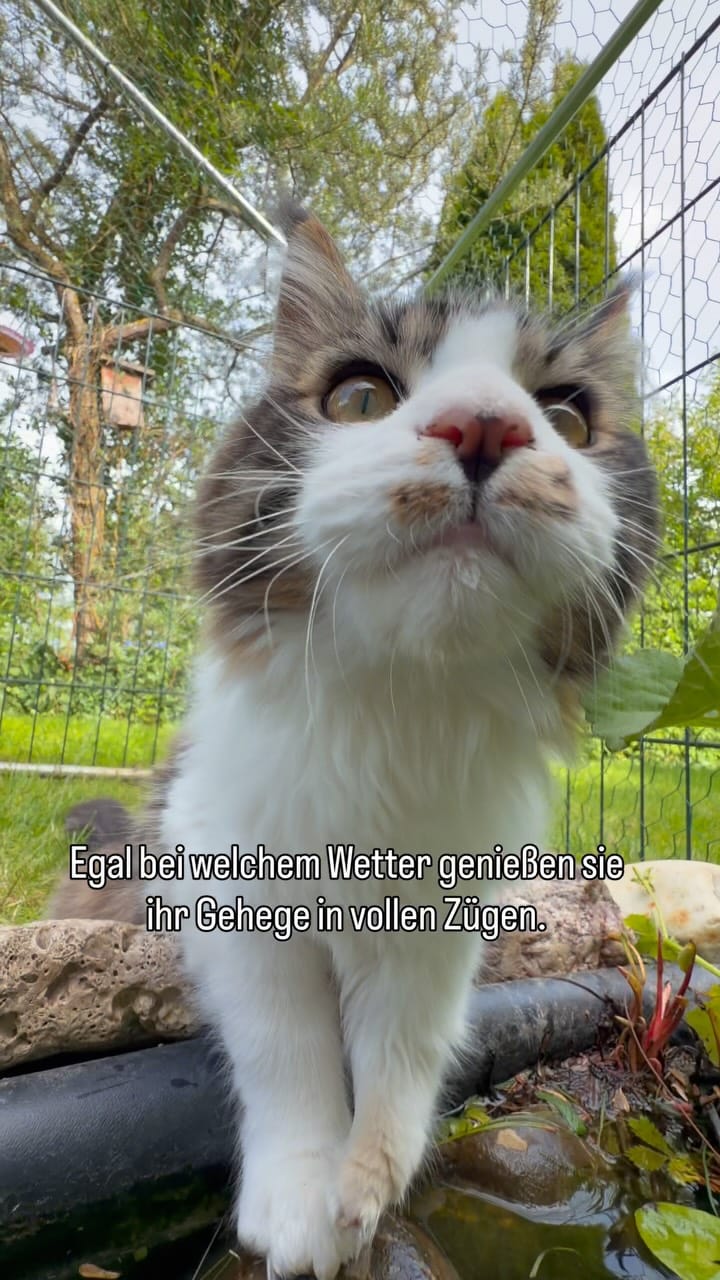 Post 3 by Natalia Minst on Instagram (video)