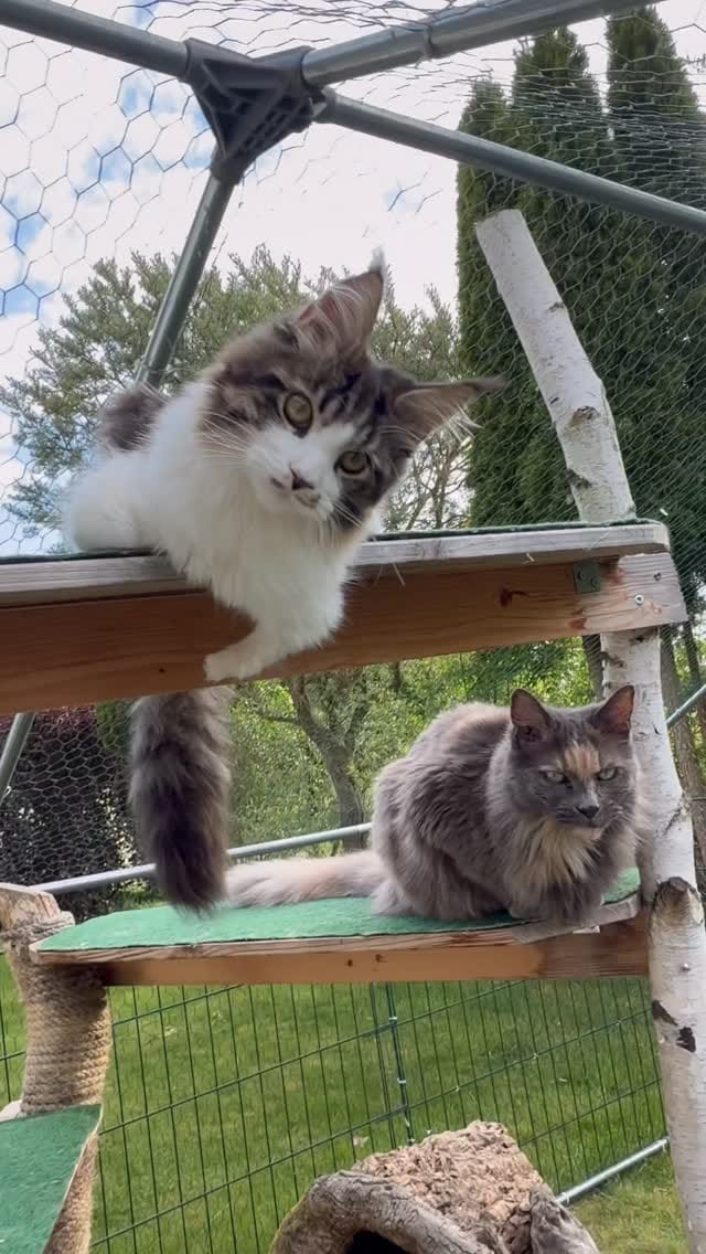 Post 8 by Natalia Minst on Instagram (video)