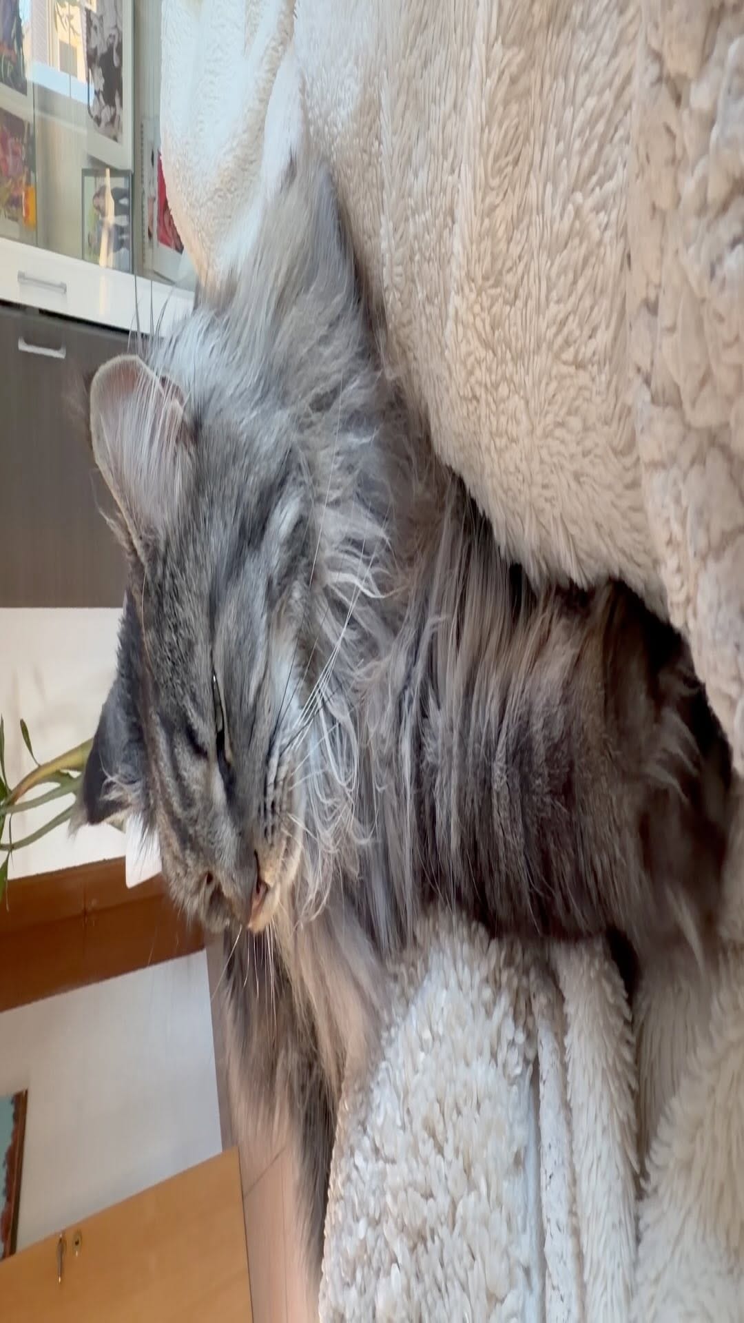 Post 5 by Natalia Minst on Instagram (video)