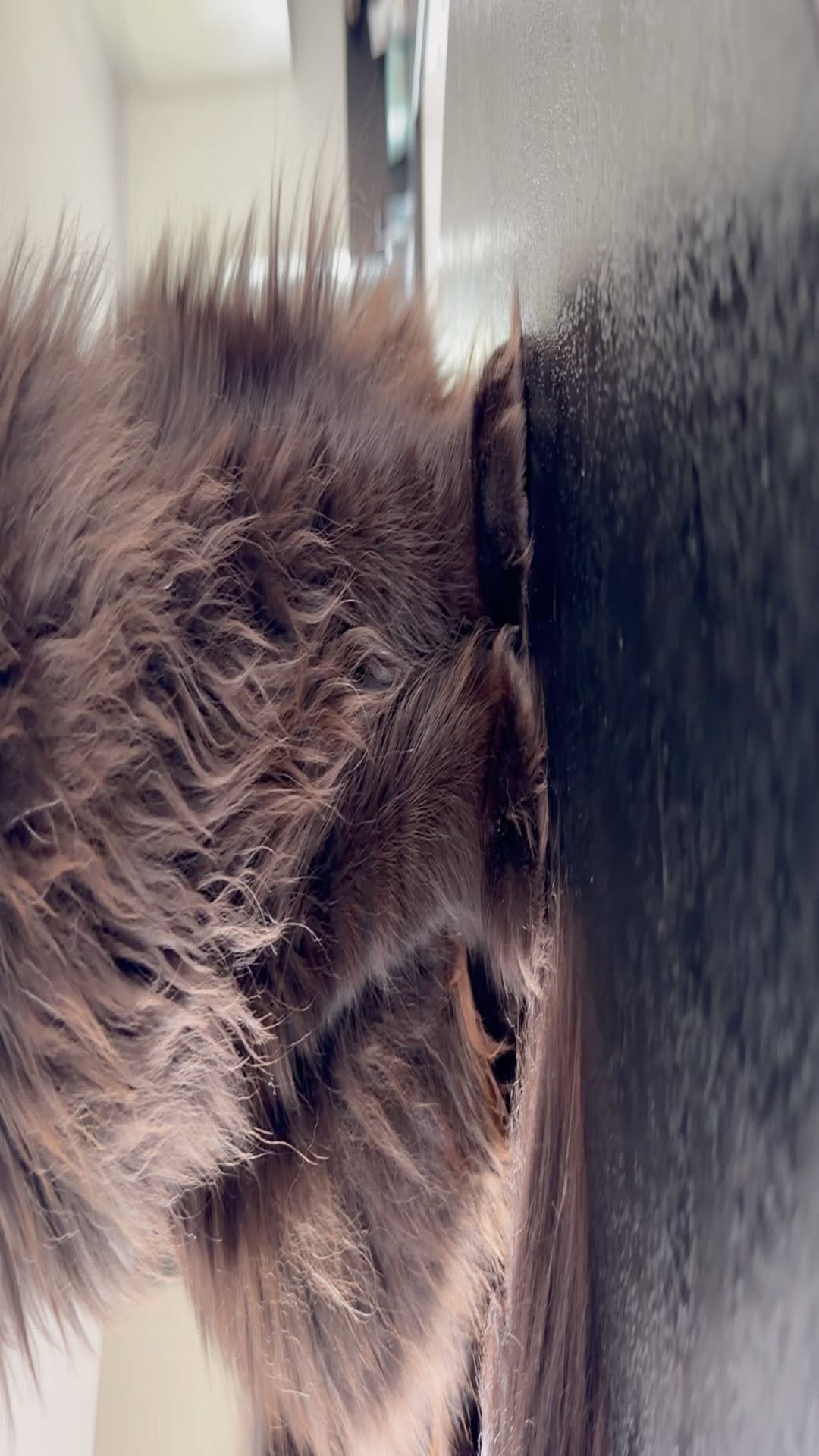 Post 7 by Natalia Minst on Instagram (video)