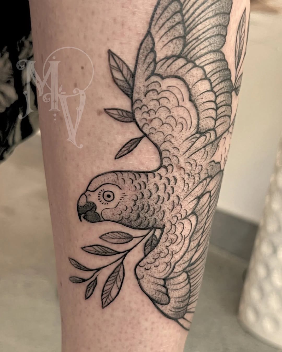 Post 4 by Molly “Vee” Gort on Instagram (carousel)