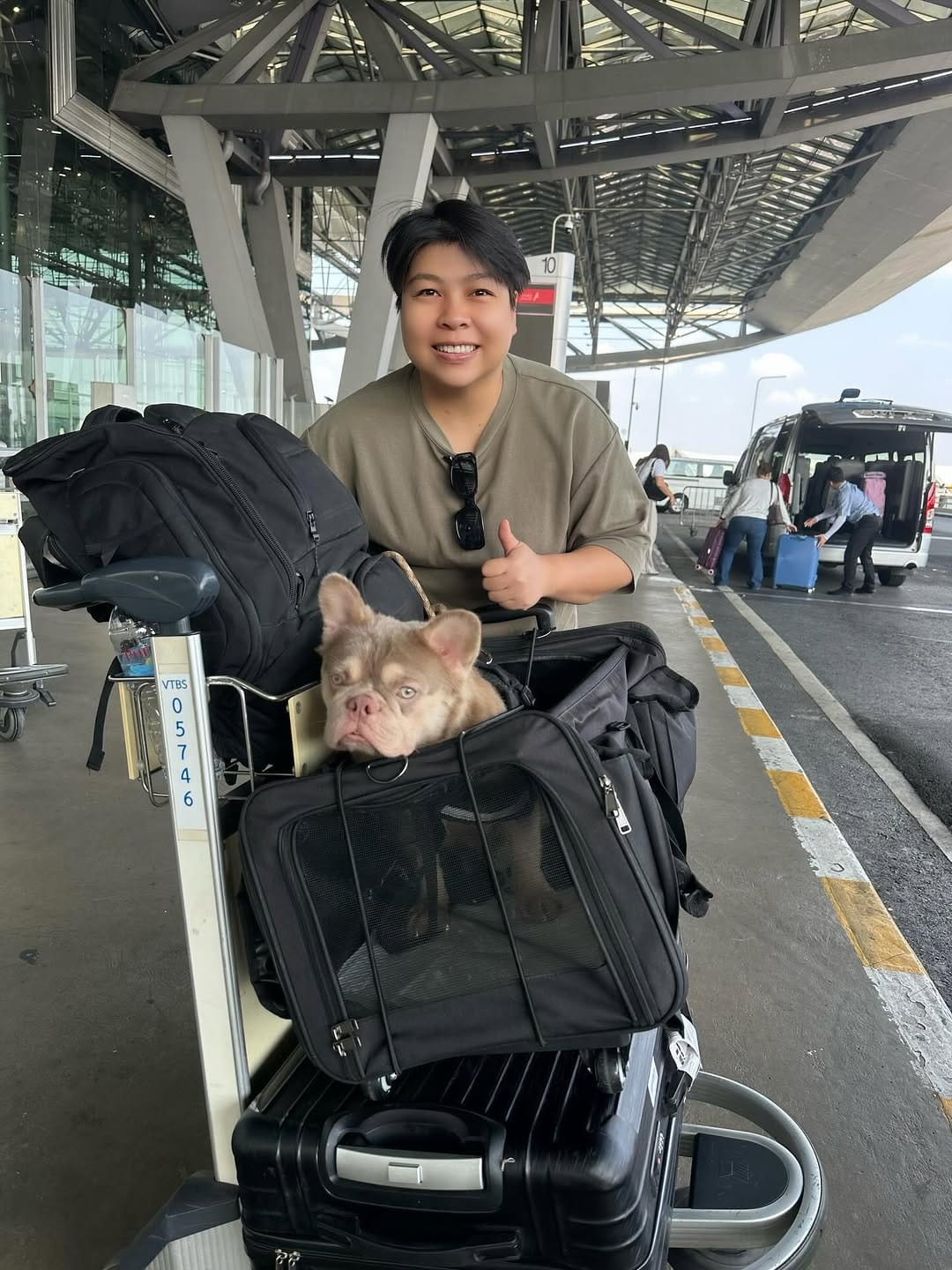 Post 3 by Frenchbulldog 🌍 on Instagram (image)