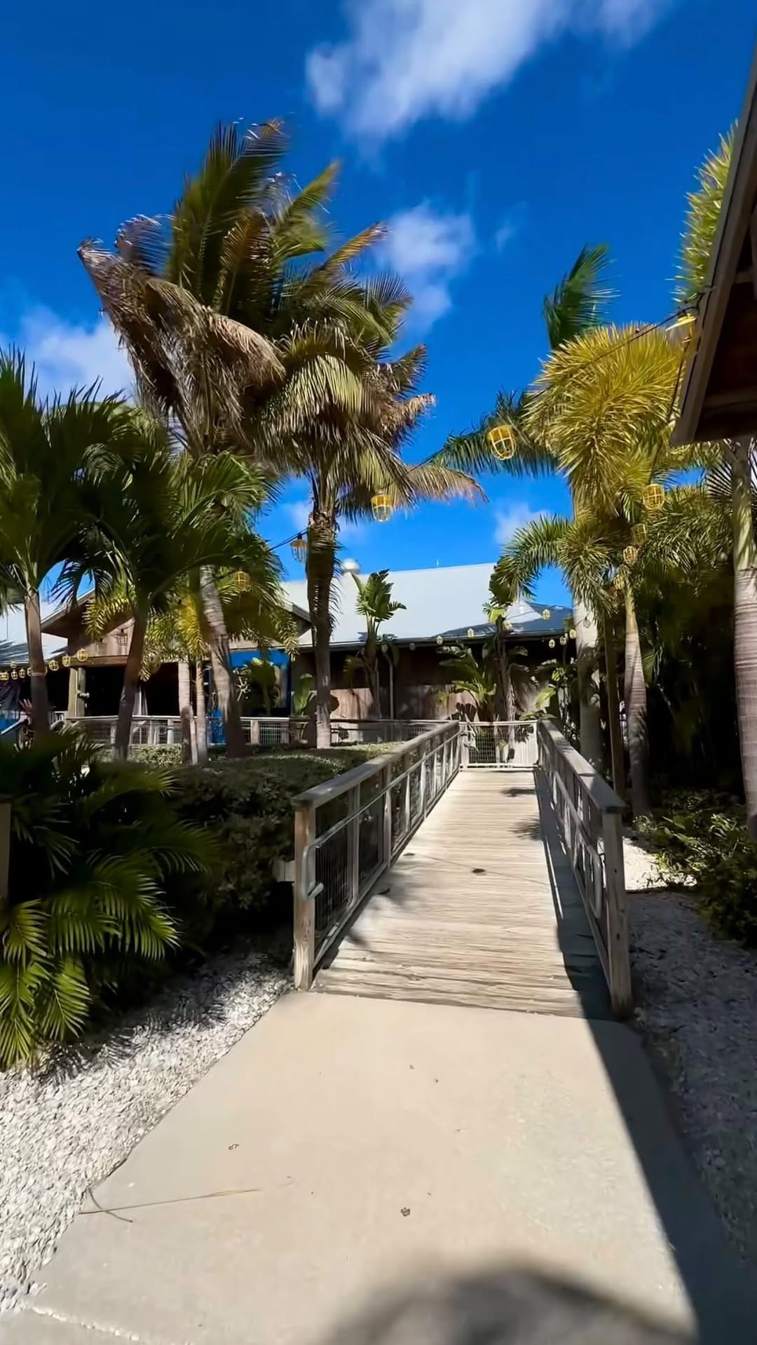 Post 9 by Cathy on Instagram (video)