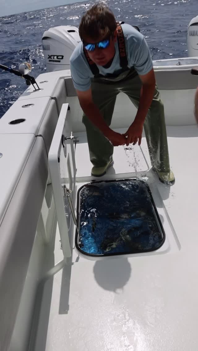 Post 4 by Mexican Gulf Fishing Company on Instagram (video)