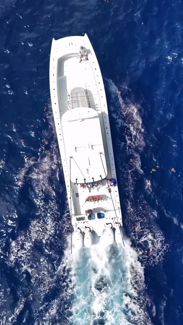 Post 5 by Mexican Gulf Fishing Company on Instagram (video)