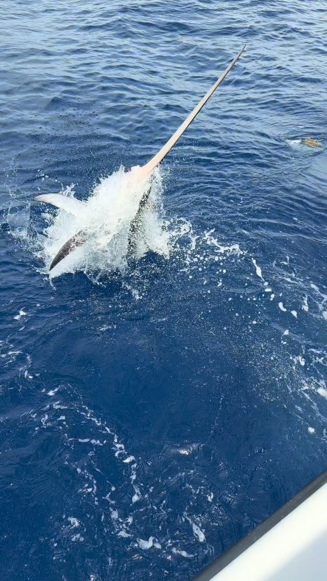 Post 3 by Mexican Gulf Fishing Company on Instagram (video)