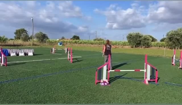 Post 3 by Busca on Instagram (video)