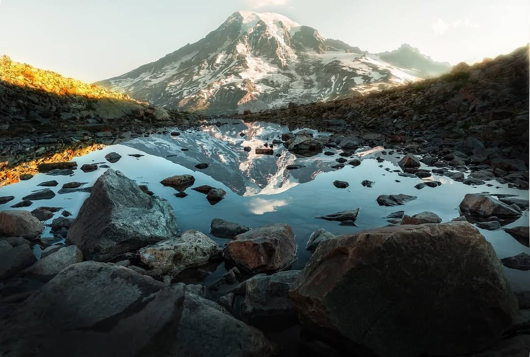 Post 9 by D A N I E L   G O I N S on Instagram (image)