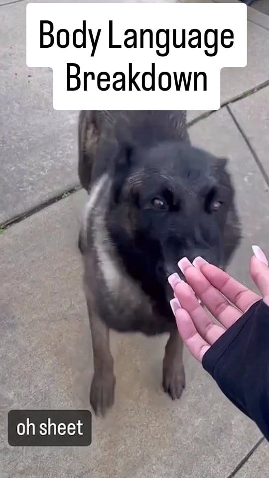Post 3 by John Caponetta Sr. on Instagram (video)