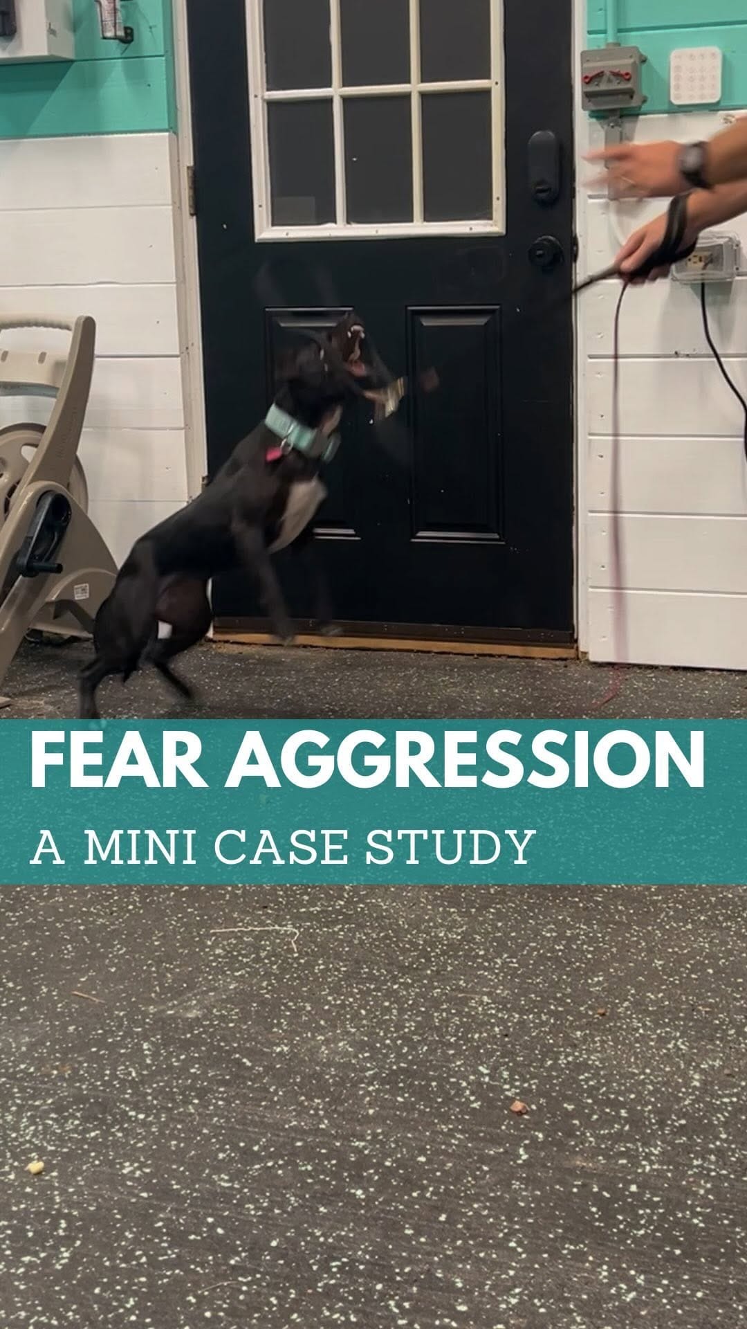 Post 8 by John Caponetta Sr. on Instagram (video)
