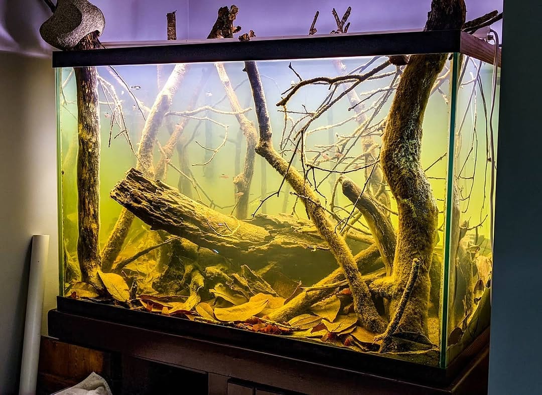 Post 9 by Alex Franqui on Instagram (image)