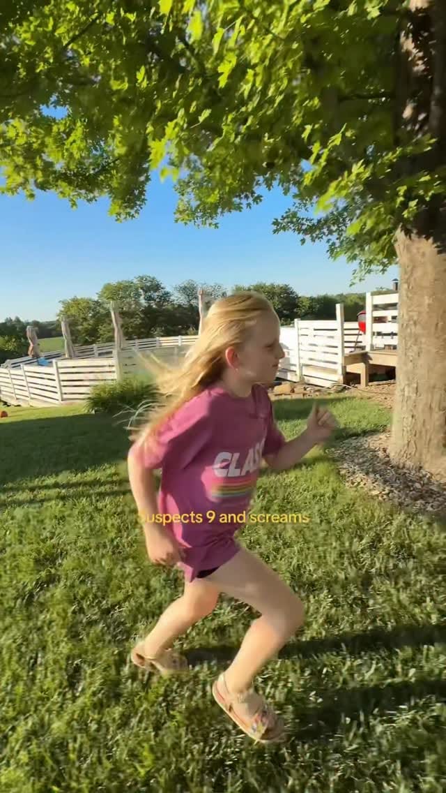 Post 3 by Caitlyn Neier on Instagram (video)