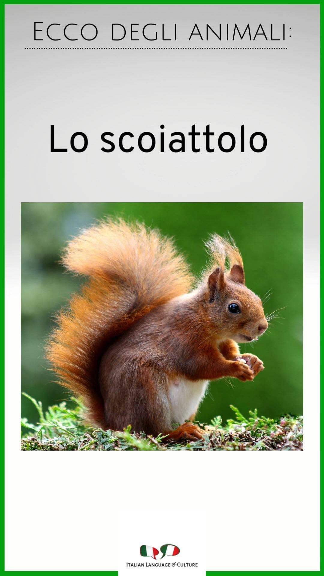 Post 4 by Italian Language & Culture on Instagram (video)