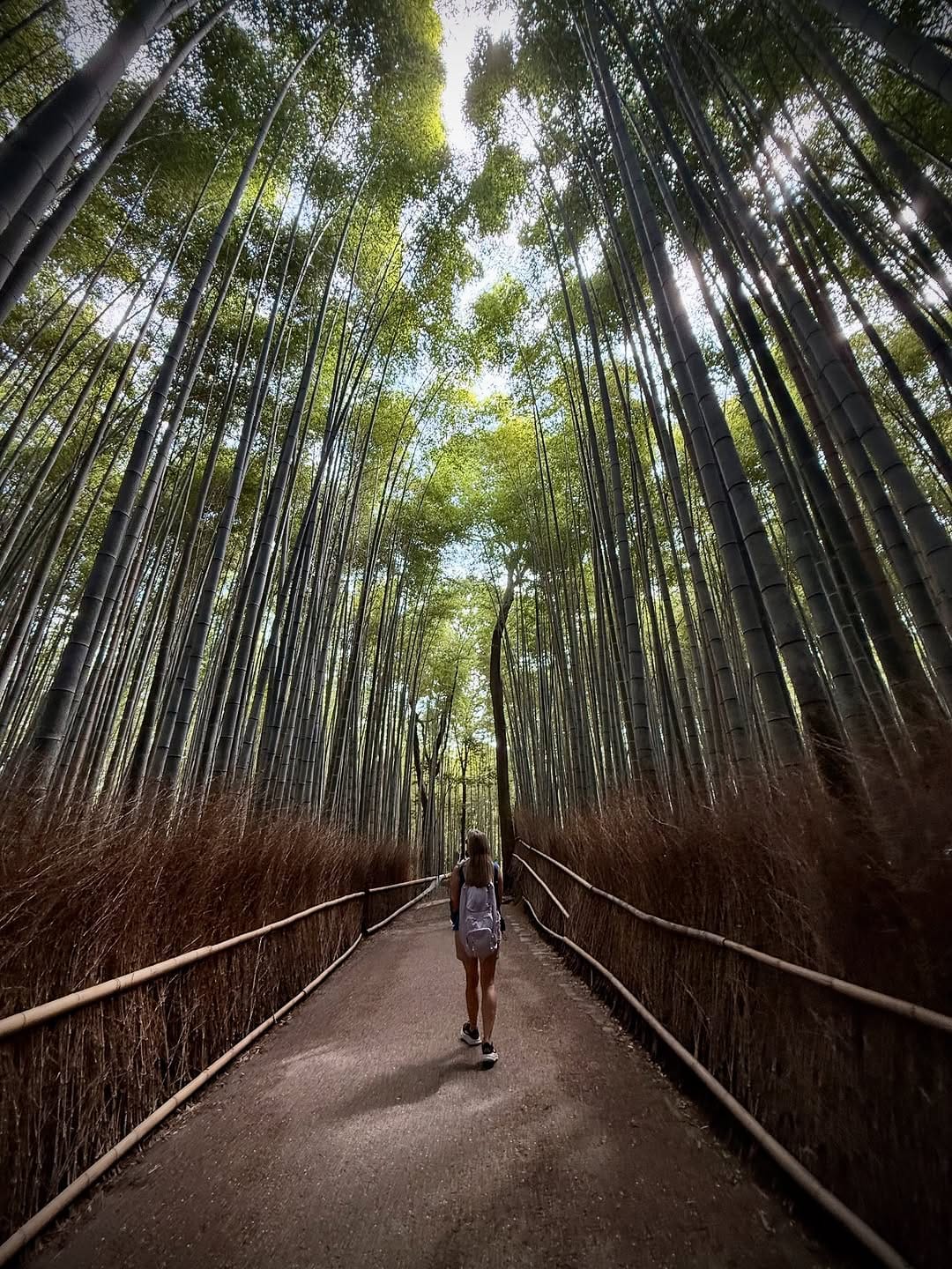 Post 3 by Claire Ujma on Instagram (image)