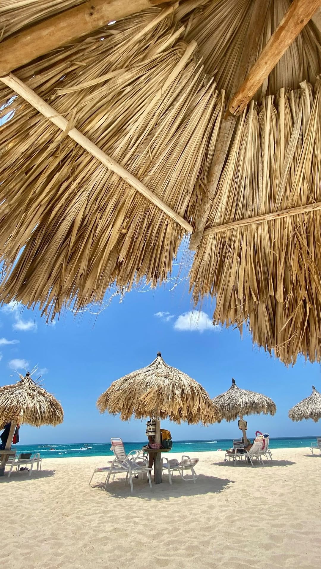 Post 7 by PHI SIGMA SIGMA on Instagram (video)