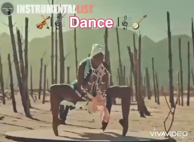 Post 6 by Shadi Valizadeh on Instagram (video)