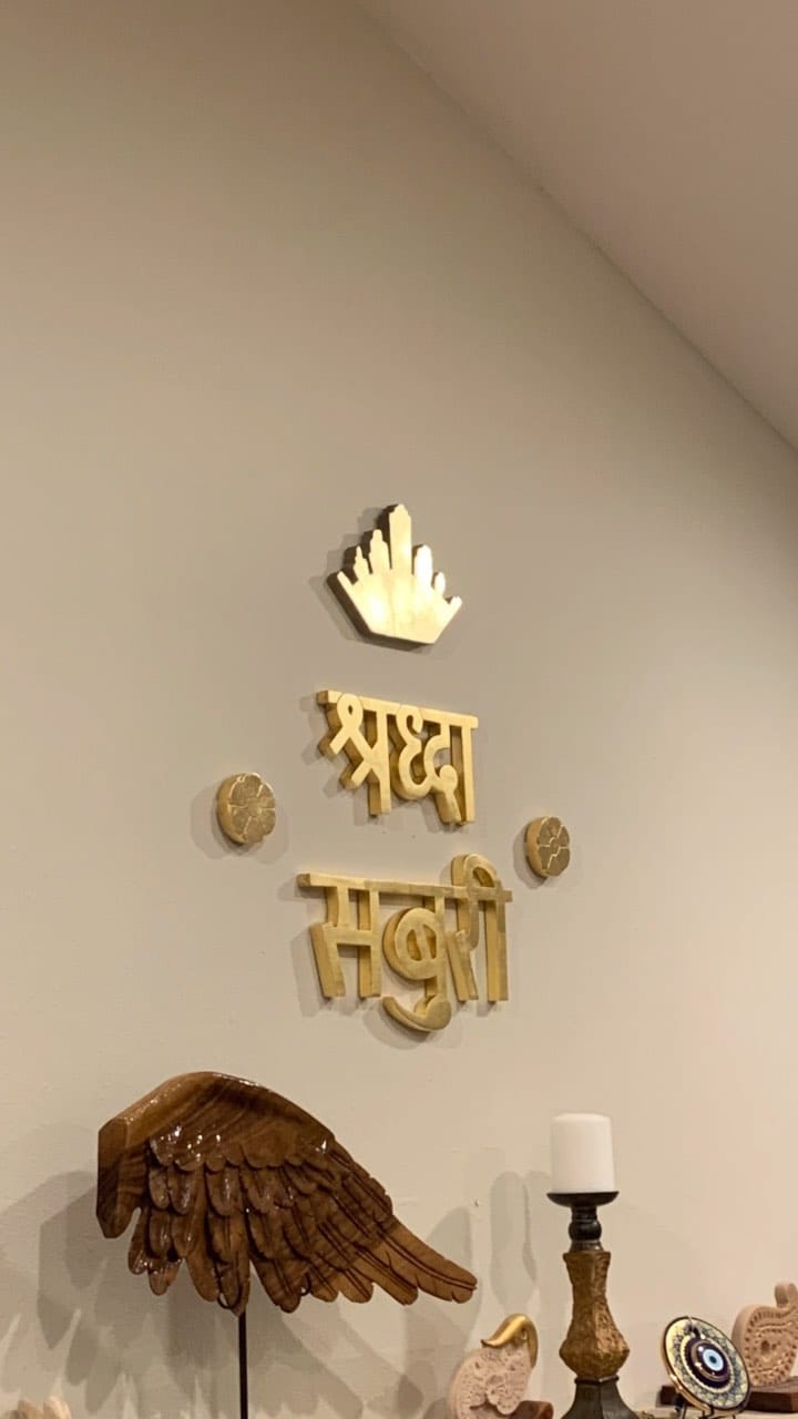 Post 2 by Shriphani Palakodety on Instagram (video)