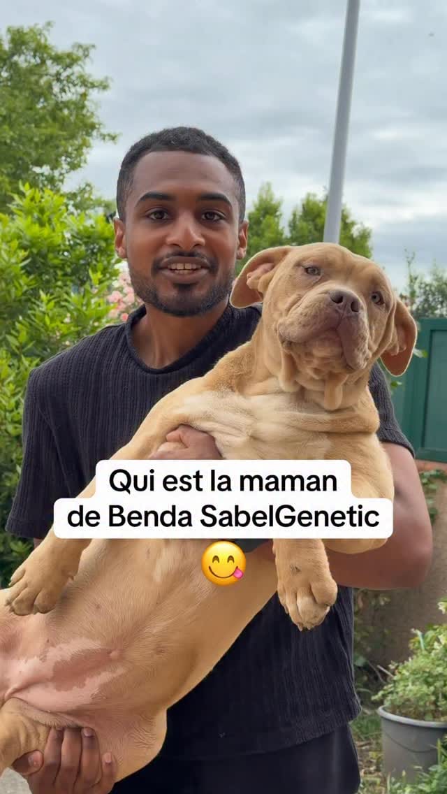 Post 3 by SabelGenetic on Instagram (video)
