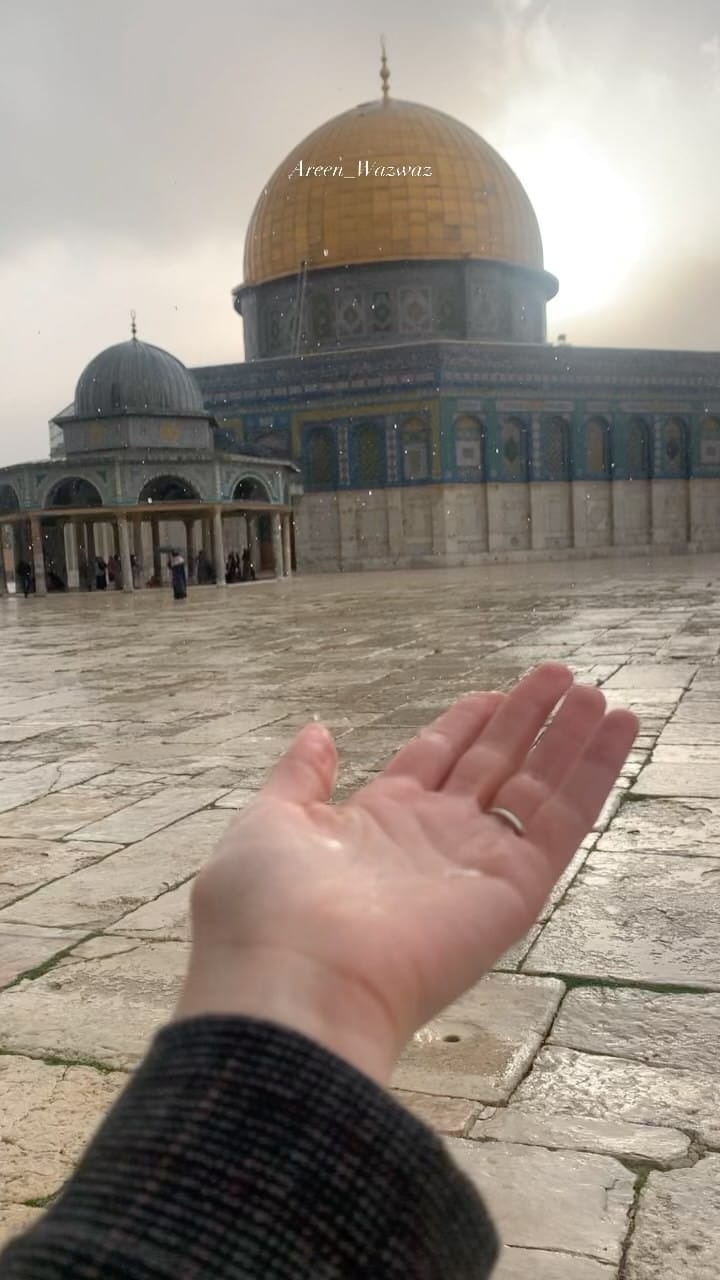Post 2 by عَرينة .📸✨ on Instagram (video)