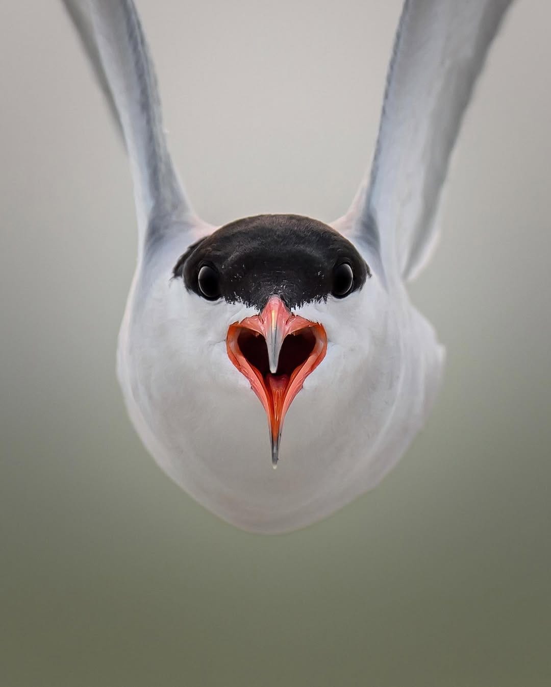 Post 10 by Andrea Bruno on Instagram (image)
