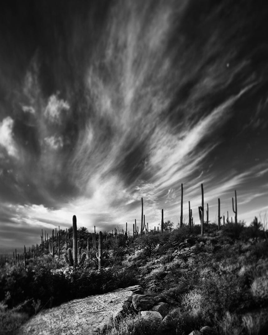 Post 10 by Kurt Harvey on Instagram (image)