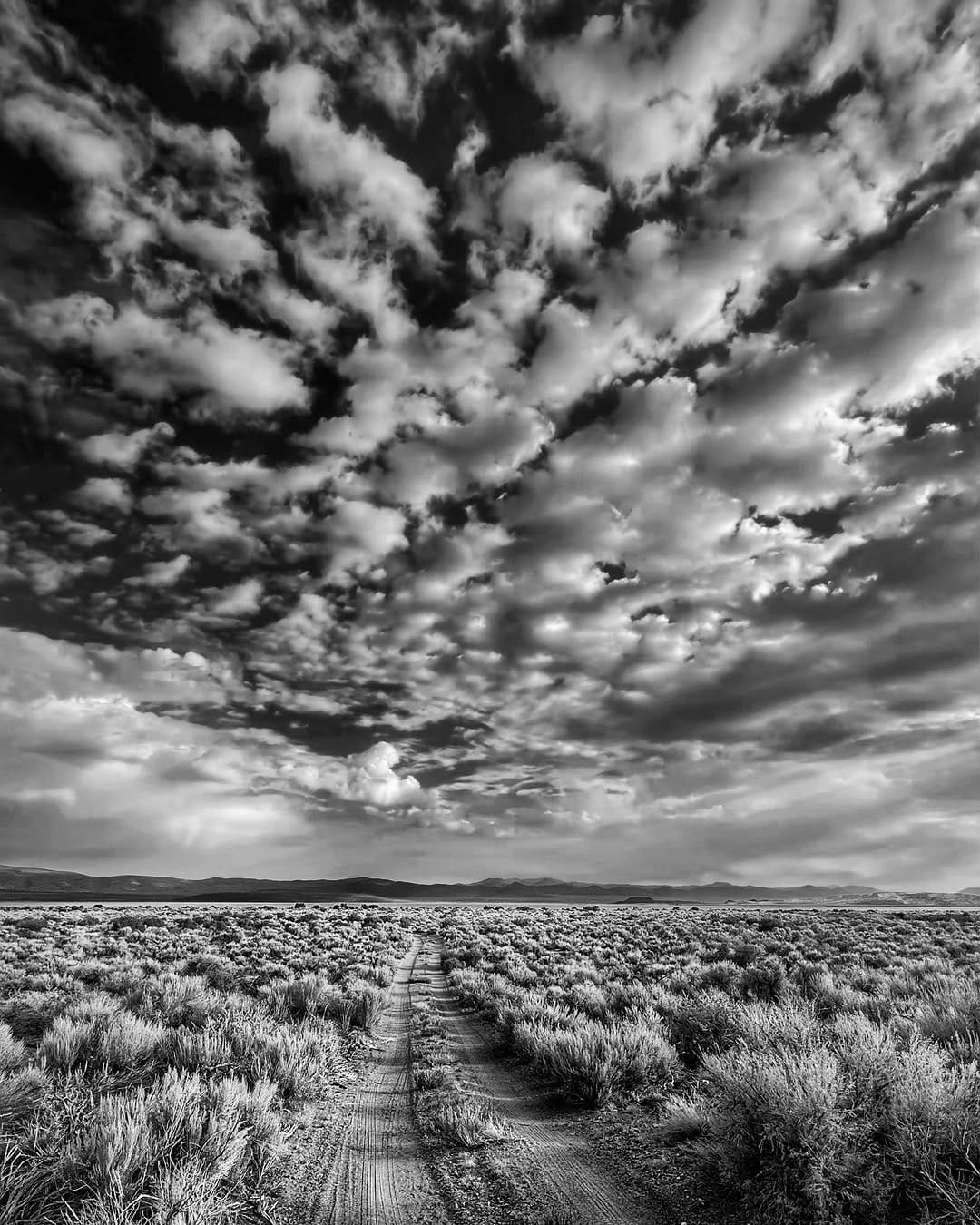Post 6 by Kurt Harvey on Instagram (image)