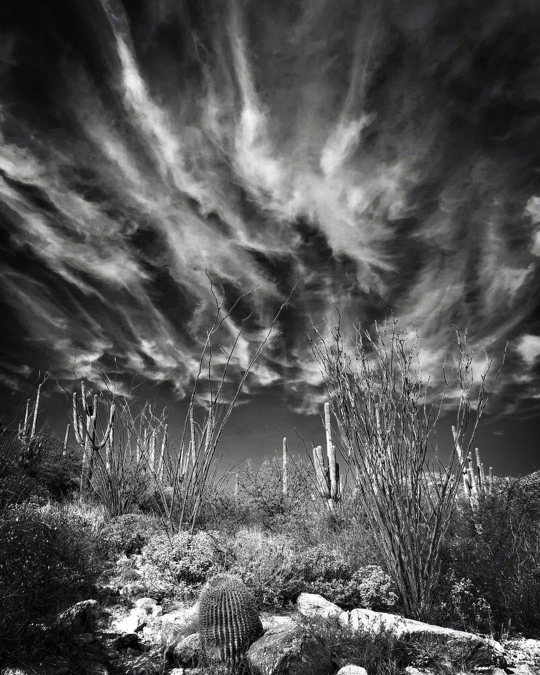 Post 9 by Kurt Harvey on Instagram (image)
