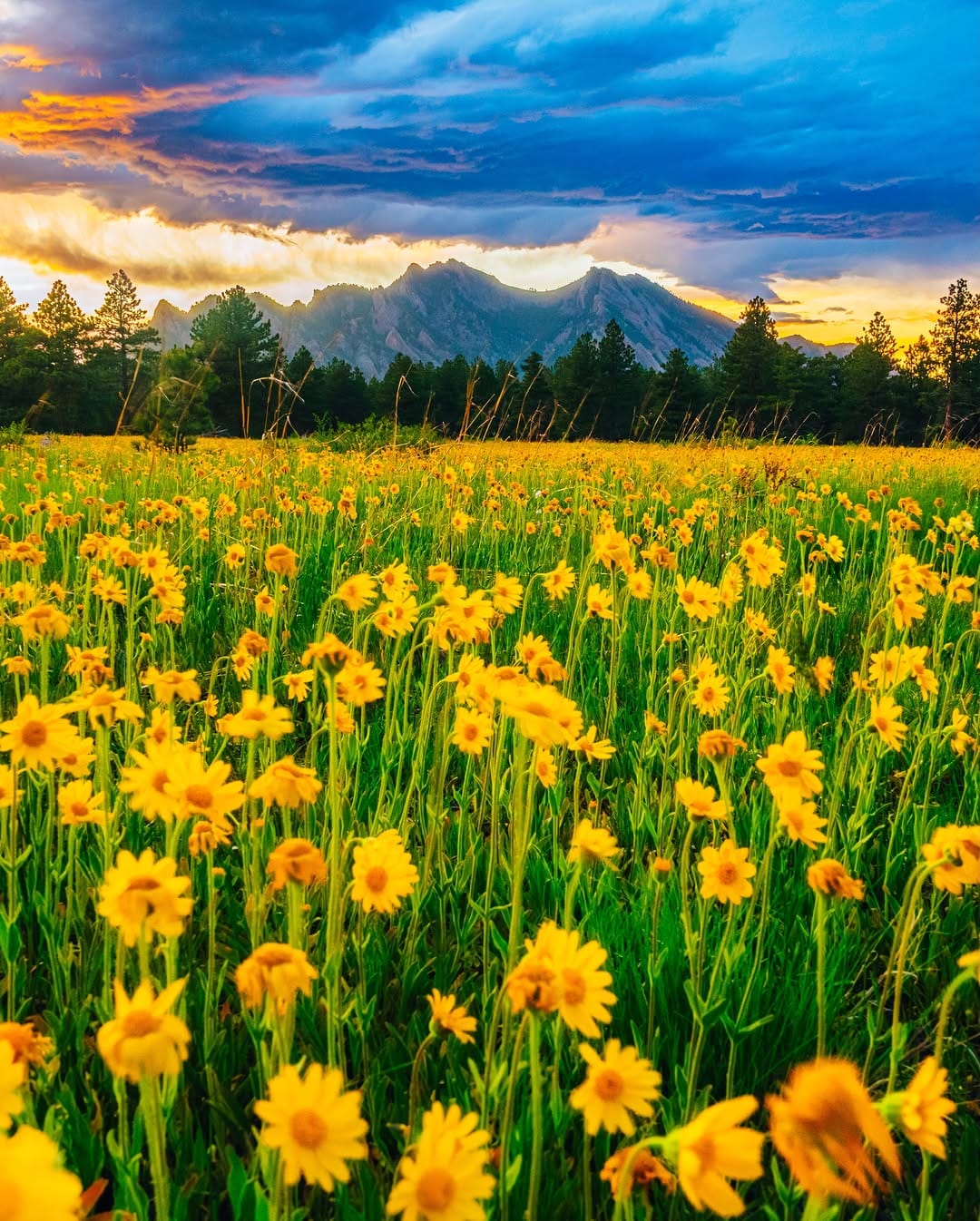 Post 4 by Tim Edmond | Colorado + Travel Photographer on Instagram (carousel)