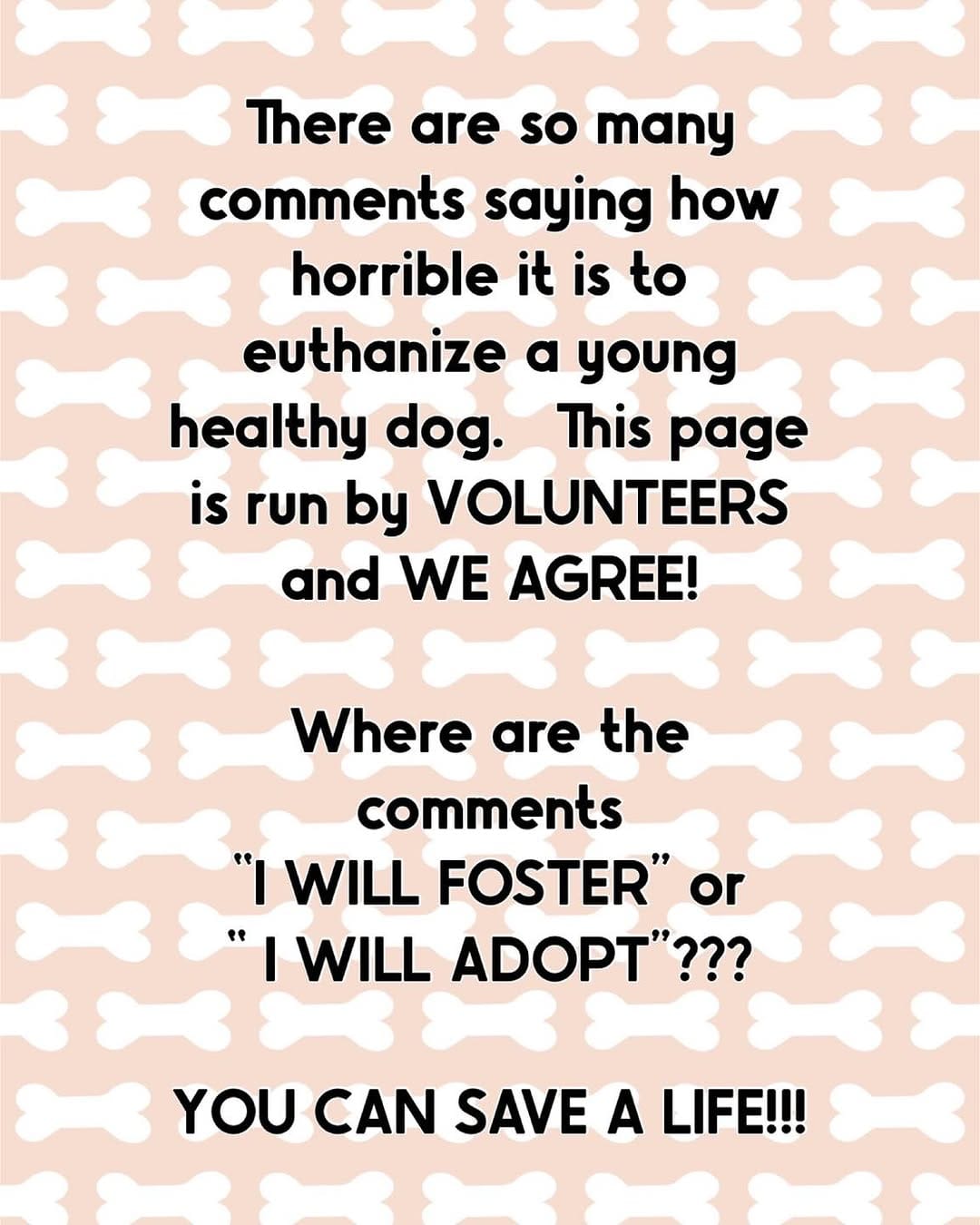 Post 7 by 𝓤𝓻𝓰𝓮𝓷𝓽 𝓢𝓱𝓮𝓵𝓽𝓮𝓻 𝓟𝓮𝓽𝓼 on Instagram (image)
